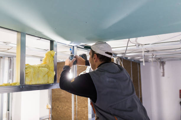Best Geographic-Specific Insulation Services in Bernardsville, NJ