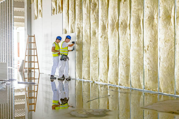 Best Eco-Friendly Insulation in Bernardsville, NJ